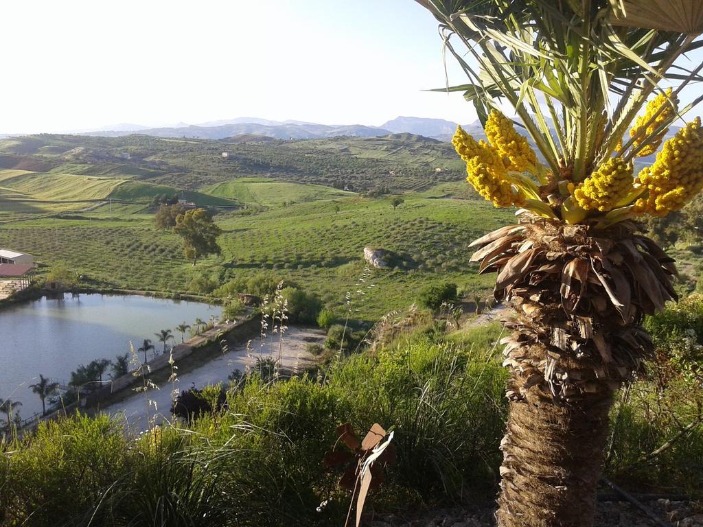 Villa Ciuci'S Manor Aragona Esterno foto