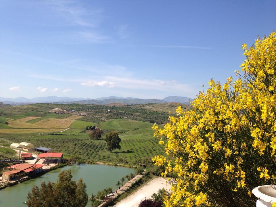 Villa Ciuci'S Manor Aragona Esterno foto